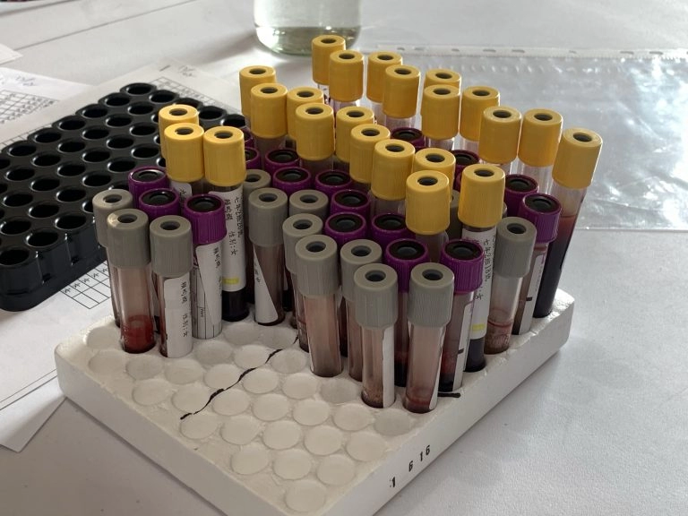 20221202學生健檢抽血觀摩